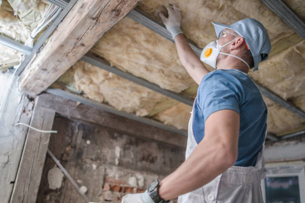 Types of Insulation We Offer in Belle Haven, VA