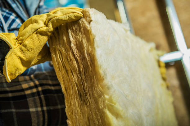 Best Specialized Insulation Services in Belle Haven, VA